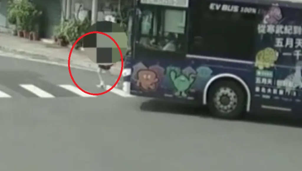 板橋遭公車撞擊死者身分曝光！議員周勝考前妻市議員參選人周韋翰母親　為子拉票釀悲劇