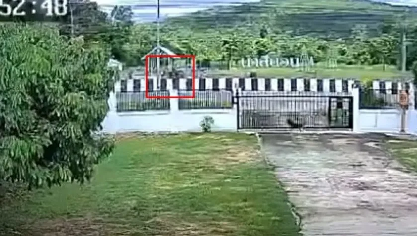 影／泰11歲童偷開車離家！失控迎面撞「整排苦行僧團」　慘釀8死撞擊影片瘋傳