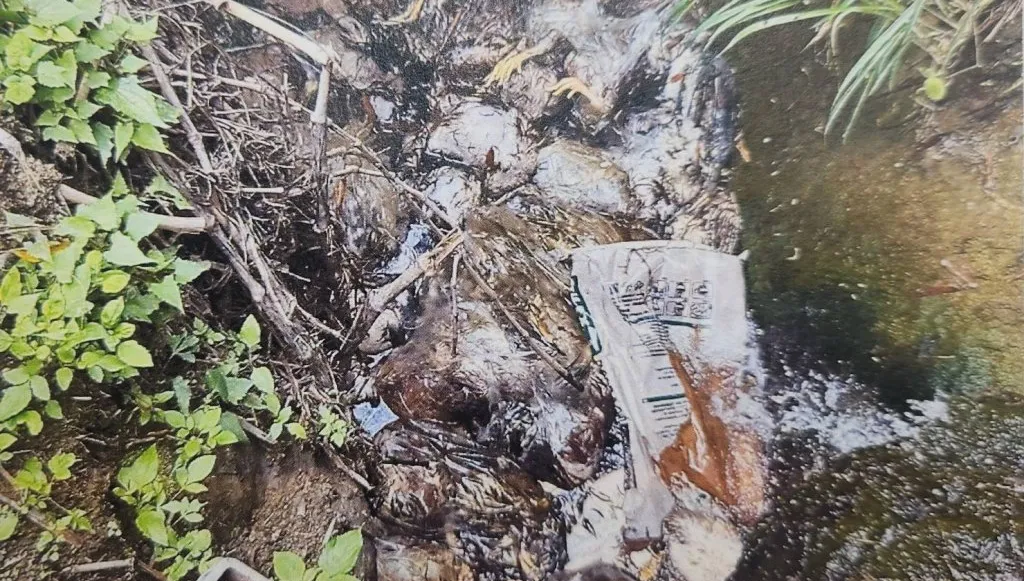 無良牧場業者180隻雞屍棄置山區溪中！　苗栗地檢署違反廢棄物清理法起訴兩人