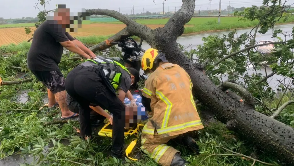 雲林二崙鄉路樹倒塌壓中65歲婦人！　臉部撕裂傷送醫