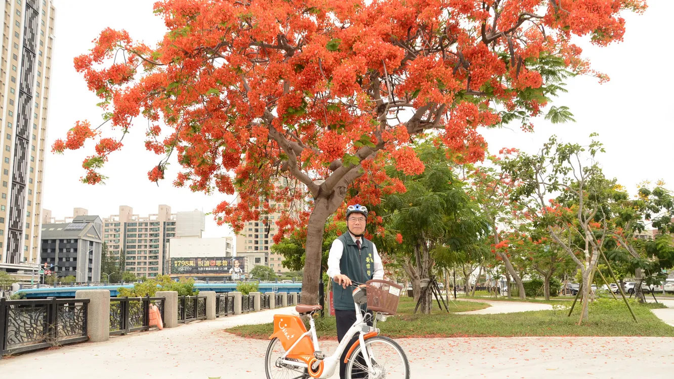 ▲市長黃偉哲邀請市民朋友一起來運河旁，自行車道騎YouBike賞鳳凰花欣賞沿岸美景。（圖／記者 楊子安 翻攝）