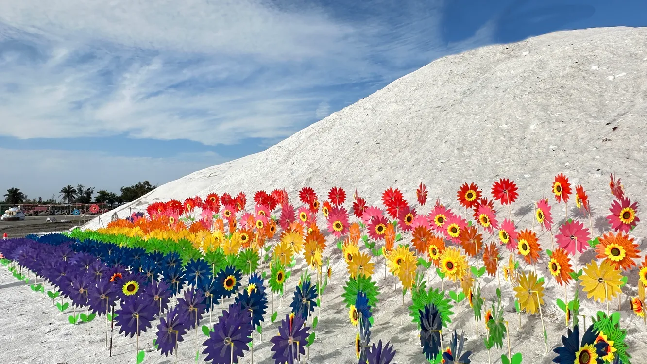 ▲七股鹽山「鹹轉海風祭」限時登場，彩虹花海風車沿著雪白鹽山一路盛開，成為近期最吸睛的打卡景點。（圖／臺鹽公司提供）