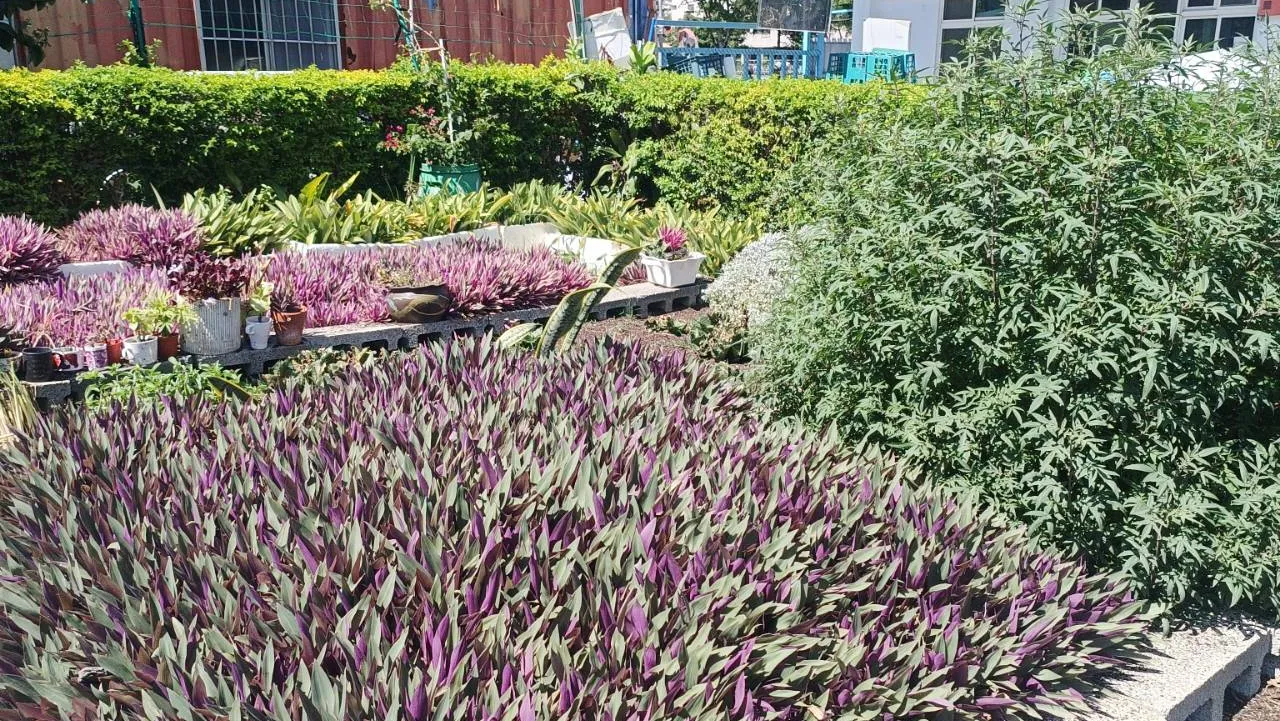 20顆廢電池換綠意！　台中南屯清潔隊6/5推植栽DIY 響應世界環境日