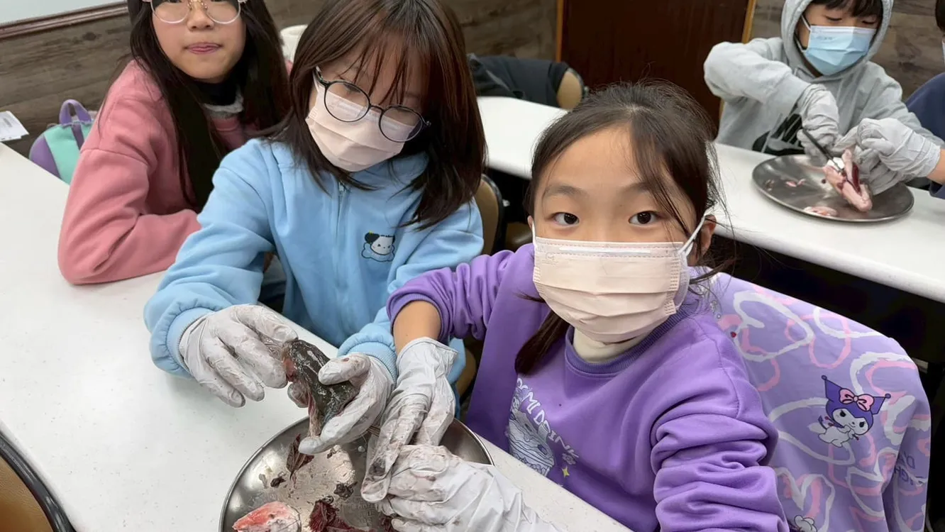 AI時代落實素養教育 幼小銜接注重自主思考培養