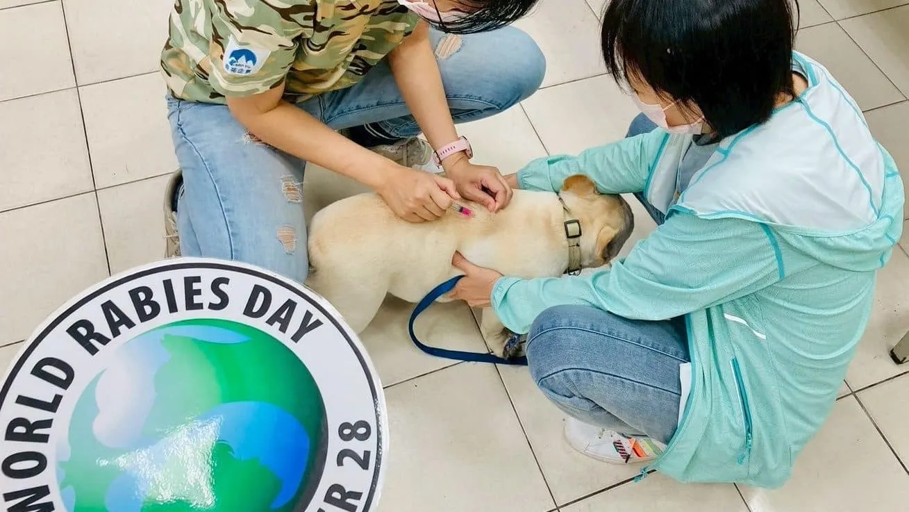 守護毛孩健康 北市山區鄰里免費狂犬病疫苗注射6/18開跑