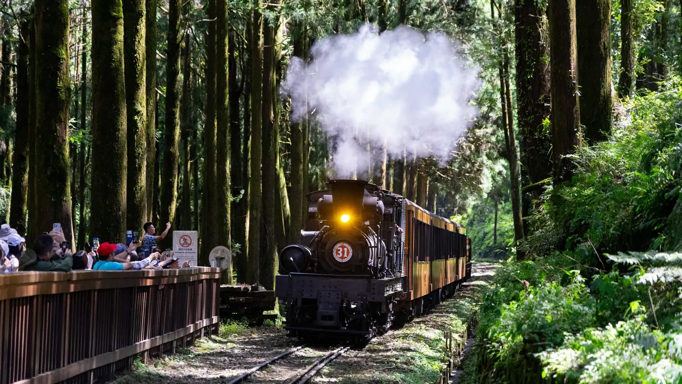 暑假限定開跑!阿里山蒸汽火車遊程錯過不再