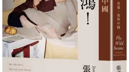 飛吧,鴻!:母親、我與中國