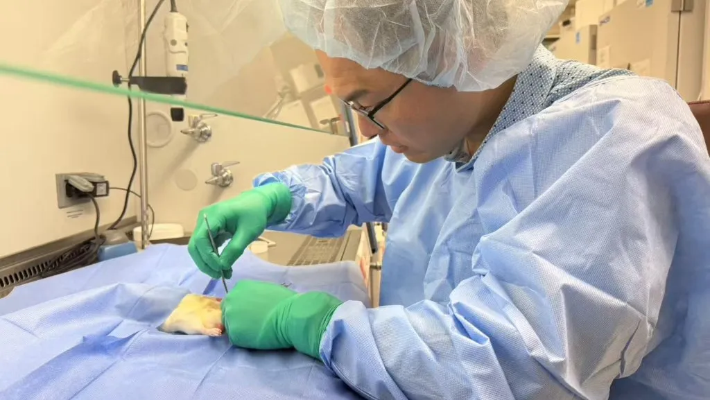 中醫大附醫研發3D列印中藥複合支架 骨再生材料研究登國際期刊