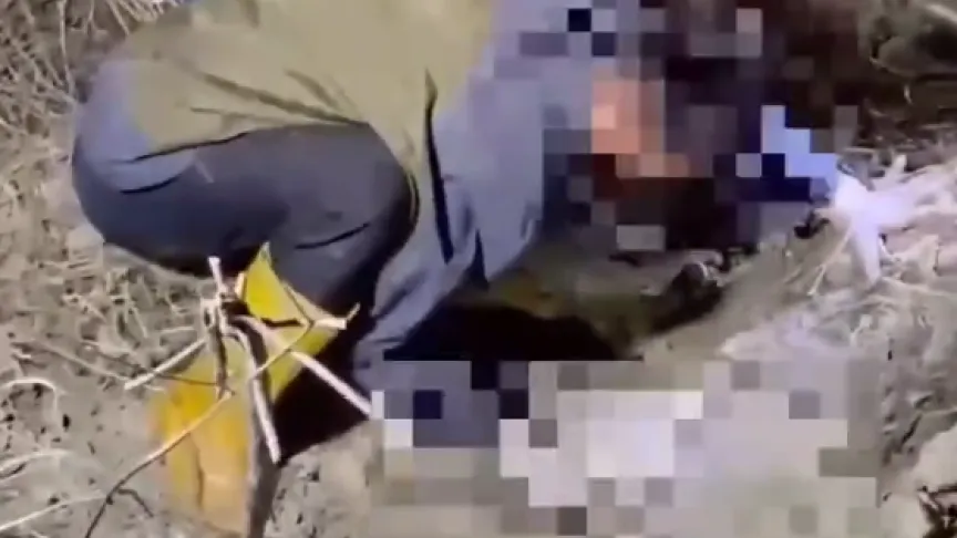 女兒出生隨即死亡無力殮葬　越南女移工教唆同鄉埋嬰屍！