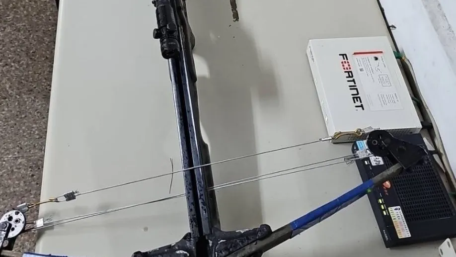 殘忍!不滿貓狗侵入住處討食 台東男子竟持十字弓射殺