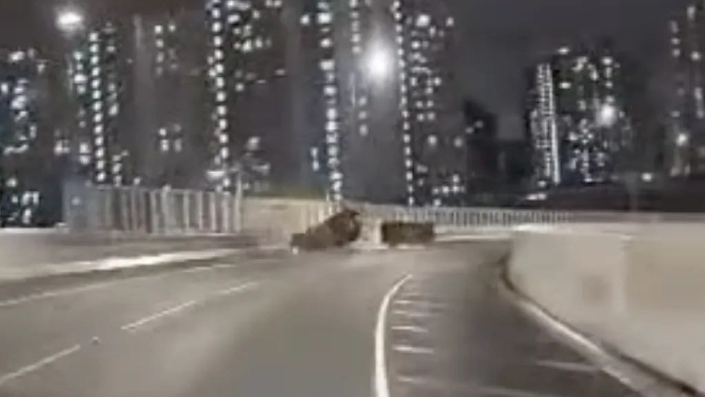 上週才跳海救人!38歲消防員搭小黃遭撞飛亡 妻子同行雙雙喪命