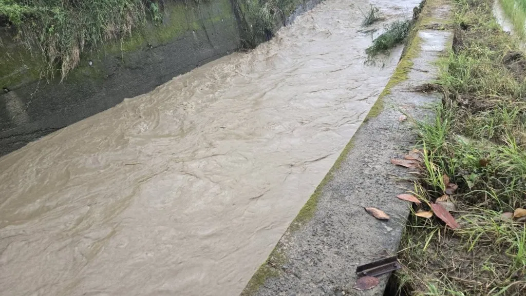 快訊／暴雨下農忙釀悲劇！73歲婦清排水溝失足　洪流瞬間將人沖走「尋獲人喪命」