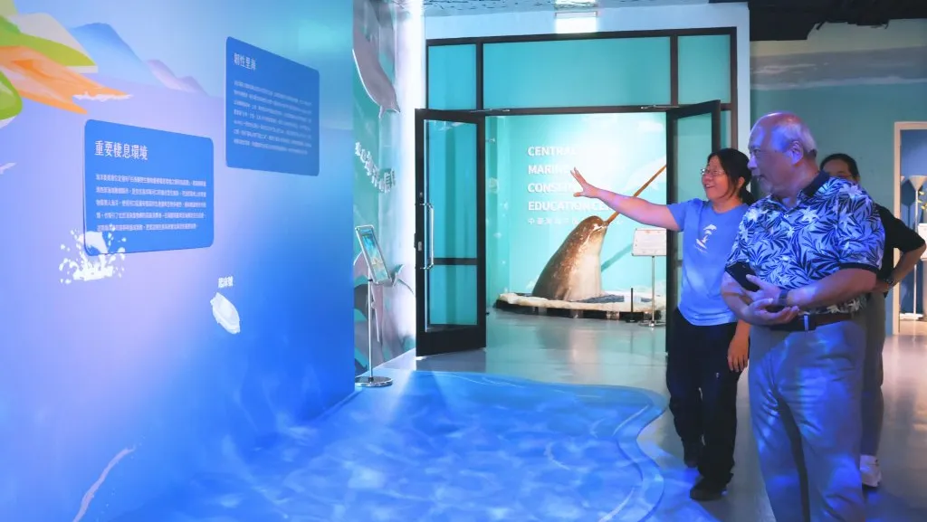 化身公民科學家賞鯨去  科博館智慧沉浸海洋探索體驗全新登場