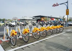 台南YouBike成長六都居前 場站增75%、騎乘人次破513萬