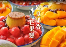 臺南國際旅遊熱度升溫! 旅遊網境外瀏覽半年暴增7成 日韓港星旅客各有偏好