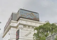 涉掏空葳格校產案　袁昶平2千萬交保後喊冤：根本不關我的事情