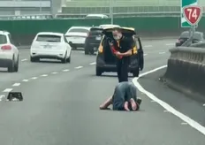 台74線驚險畫面! 酒醉女子跳車趴趴走嚇壞用路人