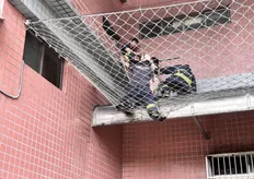 驚險!台中女童4樓窗戶墜落 2樓防護網接住身體多處擦傷送醫