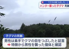 影/人熊大戰!日本獵人遇襲「徒手戳瞎熊眼」再開槍擊斃 官方尋獲熊屍證實:一隻眼被毀