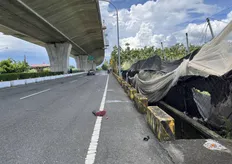 國道三號南州段平面道路死亡車禍！　機車撞路緣石墩騎士摔落水溝死亡