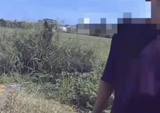汽車停路中央駕駛神情恍惚　中警唾液篩檢陽性依法送辦