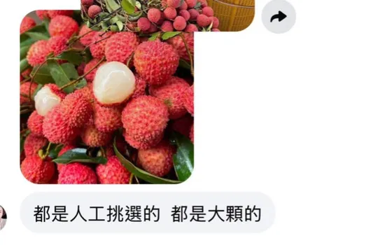 買400元荔枝險噴2萬元！詐團假冒超商客服狂打悲情牌