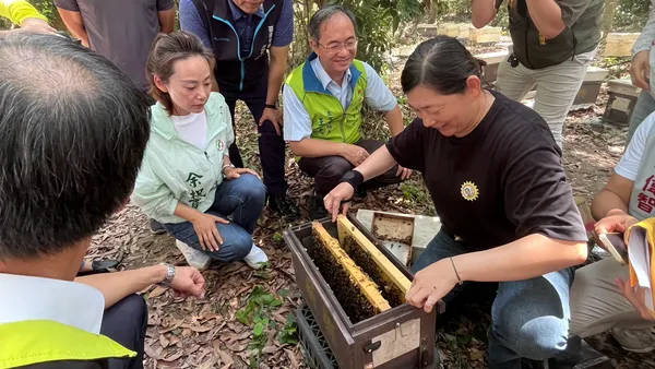 台南青農攜農改場育成優良蜂種! 首批300蜂王提升養蜂競爭力