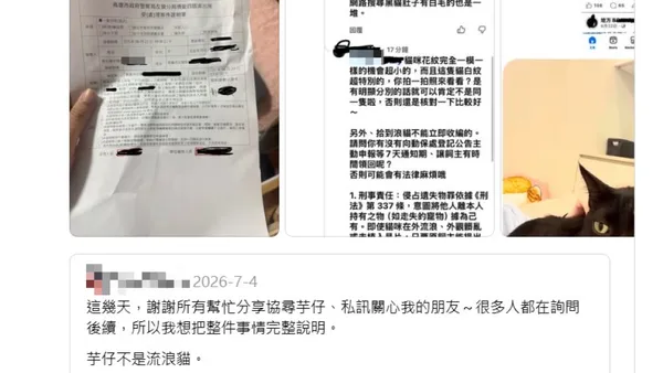 爆料/寵物不能亂撿!愛貓走失疑遭拾獲人強佔 高雄飼主心碎提告侵占