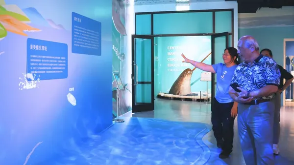 化身公民科學家賞鯨去 科博館智慧沉浸海洋探索體驗全新登場