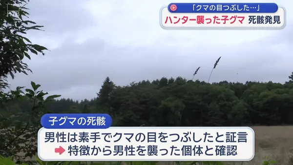 影/人熊大戰!日本獵人遇襲「徒手戳瞎熊眼」再開槍擊斃 官方尋獲熊屍證實:一隻眼被毀
